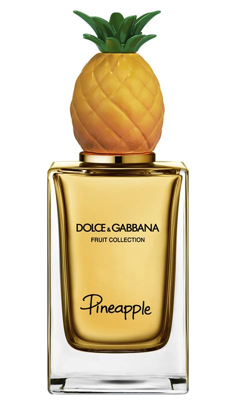 dolce and gabbana fragrance|dolce gabbana unisex.